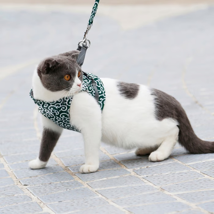 Breathable Cat Harness Set