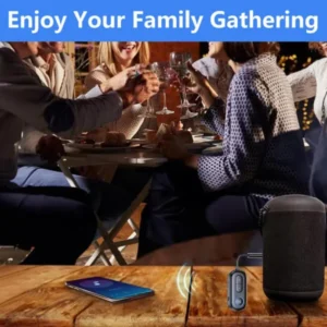 2-in-1 Bluetooth TX/RX for Car & Home