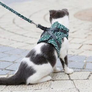 Breathable Cat Harness Set