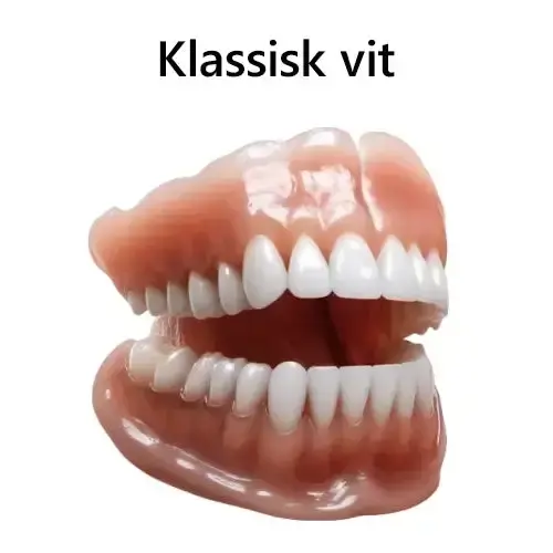 đ§ĄPremium Avancerat Anpassat Helprotes-set đ§Ą (â°TidsbegrĂ€nsad rabatt i 30 minuter) - Image 11