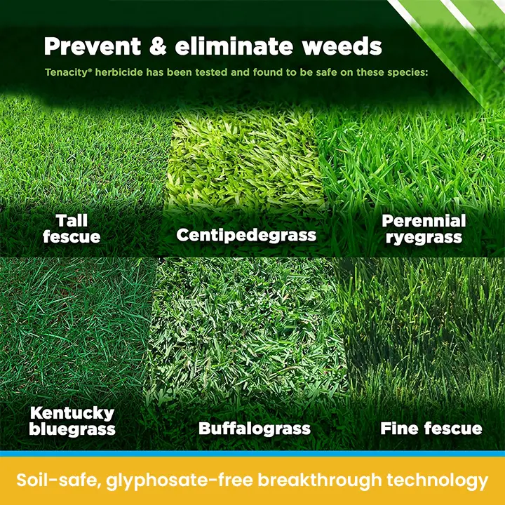 Salt Herbicide Agent - Image 11