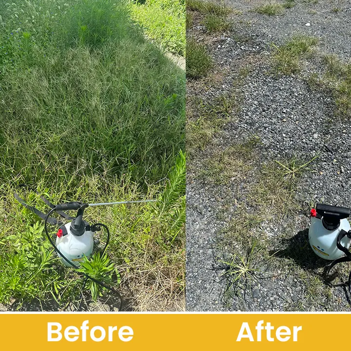 Salt Herbicide Agent - Image 13