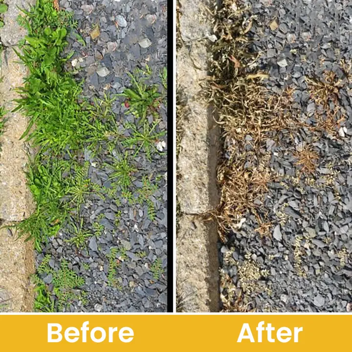 Salt Herbicide Agent - Image 14