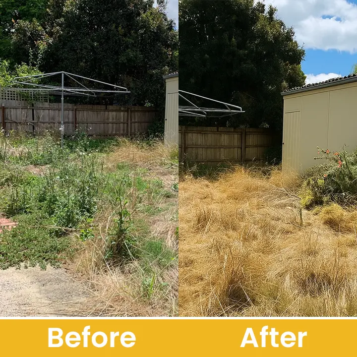 Salt Herbicide Agent - Image 15