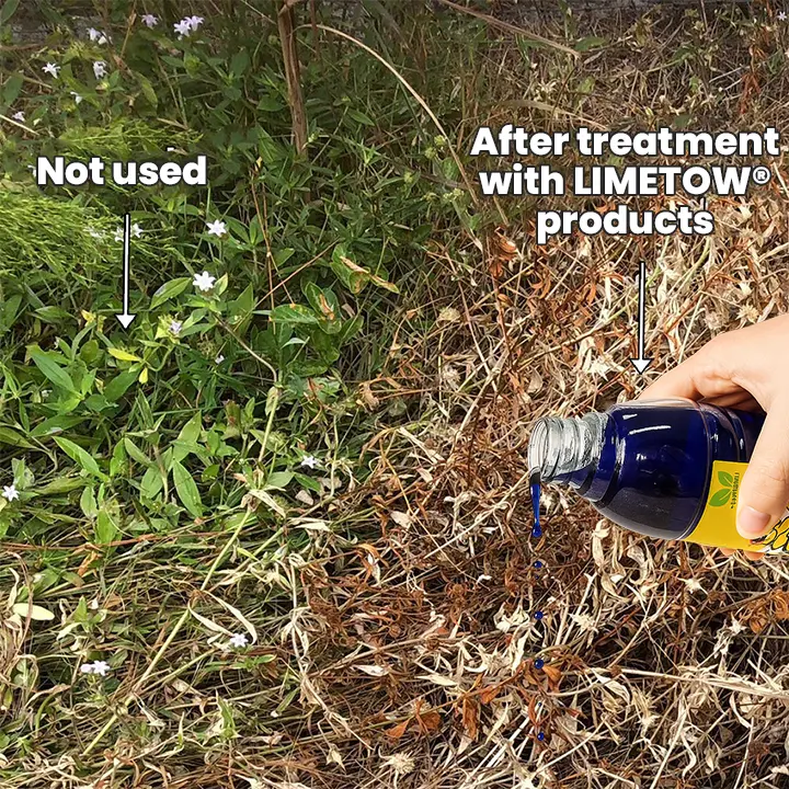 Salt Herbicide Agent - Image 7