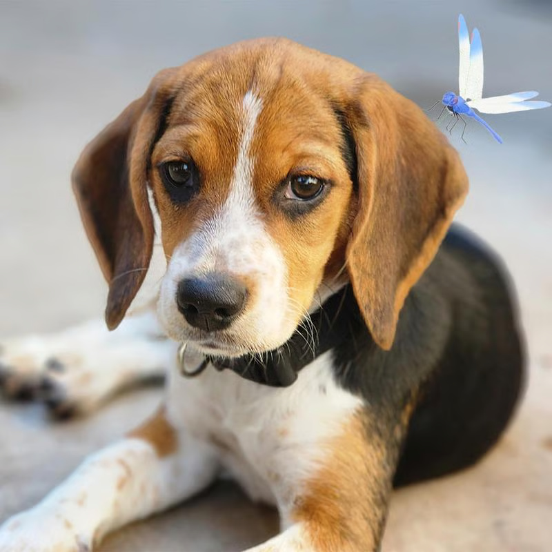 Weather-Resistant Insect Clip - Image 6