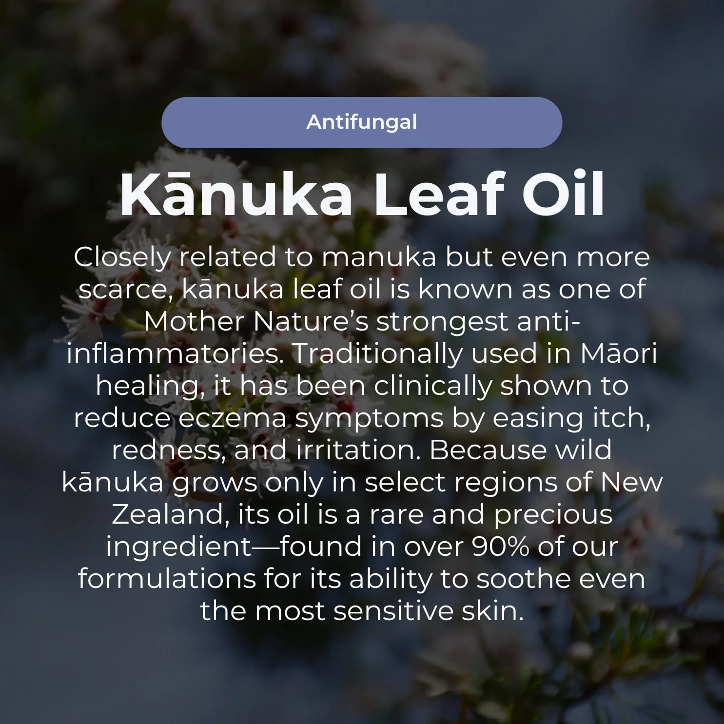 Miracle Manuka Skin Repair Balm - 100g - Image 4