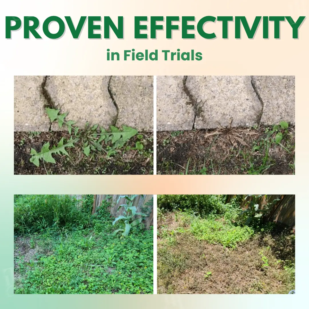 5 in 1 Max Power Herbicide - Image 5