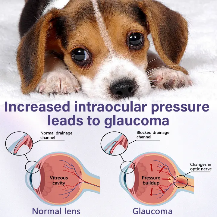 Pet Eye Drops - Image 10